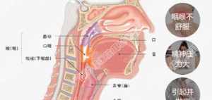 咽炎的因果 佛教说咽炎的原因