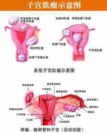 大愿法师讲经最新视频 大愿法师讲子宫瘤