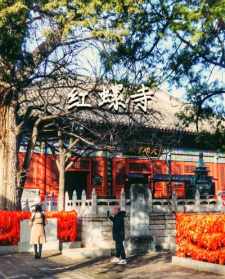 大觉禅寺门票多少钱 佛教胜地大觉禅寺