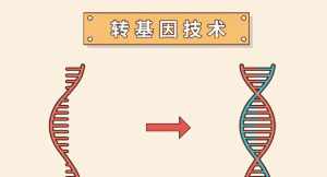 佛教如何解释基因 佛教怎么看基因嫁接