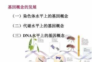 佛教如何解释基因 佛教怎么看基因嫁接