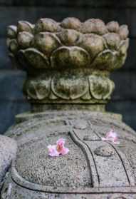 京都清凉寺旃檀佛教 京都御所清凉殿