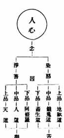 风灾 佛教 风灾的原因佛教开示