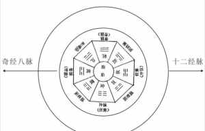 佛教八识别 佛教的8识