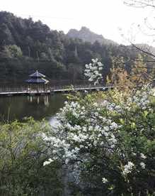 信阳佛教消息 信阳市佛教寺院