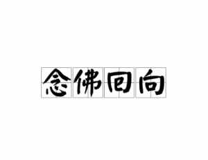 轮回路险法师开示 轮回路是什么意思