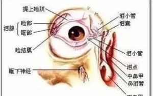 念佛左眼皮跳 左眼跳佛教