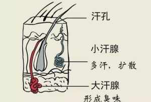 佛教狐臭是什么因果 佛教如何解释狐臭