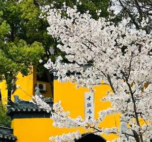 觉如是什么意思 觉如法师鸡鸣寺