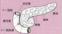 佛教胰头癌偏方 胰头癌偏方大全