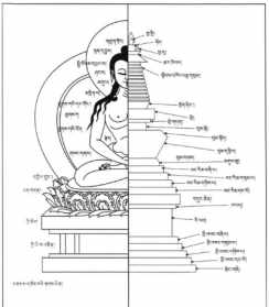 佛教的体 佛教的体系结构图