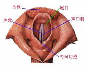 佛教治咽炎咒 治咽喉的咒语