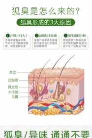 佛学怎么看待狐臭 佛教讲人的臭狐