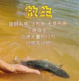 台湾道海法师照片 道海法师简介