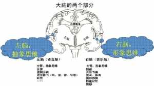 佛教与科学的惊人巧合视频 佛教与间脑