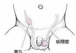 孩子疝气是父母业障吗 佛教解释孩子得疝气