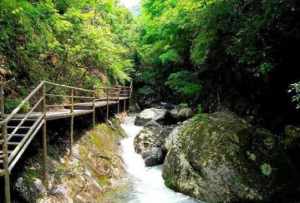 东天目山著名寺庙 佛教东天目山在哪里