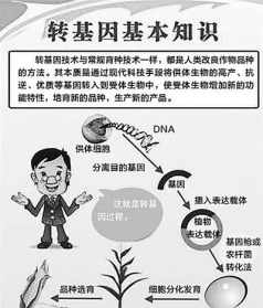 佛教讲的基因 佛教讲的基因是什么