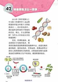 佛教讲的基因 佛教讲的基因是什么