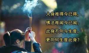 佛说怨恨恼怒烦是病的因 佛教说怨恨