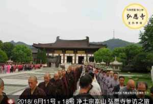 大虚法师访弘愿寺 大虚法师公众号