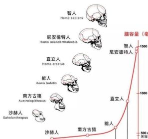 佛教说地球上人类是怎么来的? 佛教讲地球人类的起源