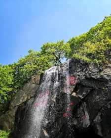 花果佛教句子 花果供佛