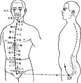 佛教说人体内有众生 佛教看体内有团气