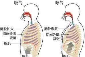 佛教呼吸念佛的正确方法 佛教呼吸念佛的正确方法视频