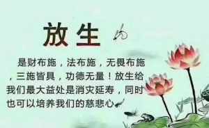 谁有佛教的放生群 谁有佛教的放生群呢