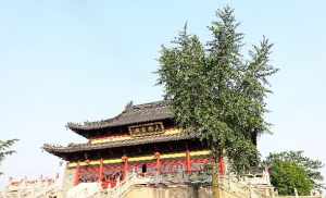 东台泰山寺本源法师 东台泰山寺住持