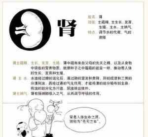 佛教肾病是什么因果 佛教讲肾病