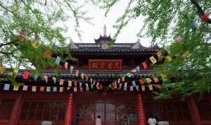 莲华大师鸡鸣寺 鸡鸣寺莲华法师