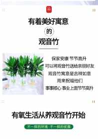 藏族降神节的由来 中元节残疾人可以去拜菩萨吗