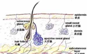 佛教怎么去除狐臭 佛教怎么治腋臭