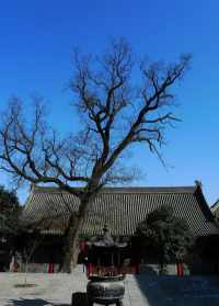 宗泽法师至相寺 宗泽祠堂游记