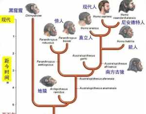 人类进化佛教 佛教的人类起源