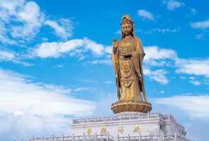 普陀山名寺的佛教寺院 普陀山各寺院介绍