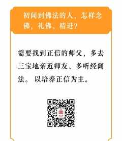 天津市宝涵法师 宝菡法师生平