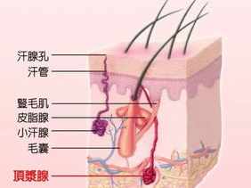 佛教怎么治腋臭 佛教狐臭是什么因果