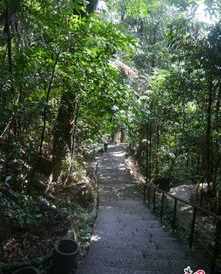 桂平西山佛教文化介绍 桂平西山寺庙介绍