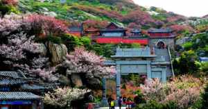 泰山寺庙道观 泰山佛教道场