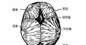 中脉佛教 中脉禅修法