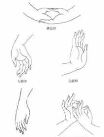 佛教手印大全 图解及用法 佛教手印