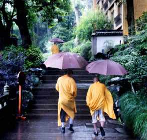 智宇法师下雨清凉的简单介绍