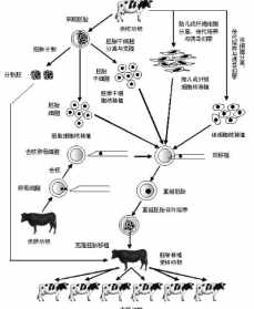 做佛教用品生意怎么样? 做佛教礼品