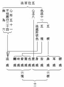 佛教说滇痴 佛教痴代表什么