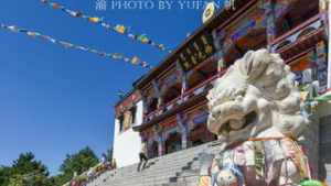 银川寺庙排名榜 银川有藏传佛教寺庙吗