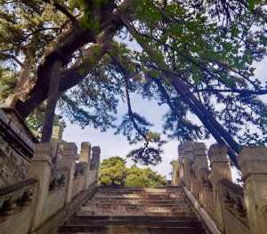 昆明佛教那个禅寺寿比丘戒 昆明庆寿寺