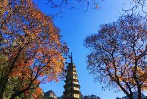 济南市内的佛教寺院在哪里 济南市内的佛教寺院